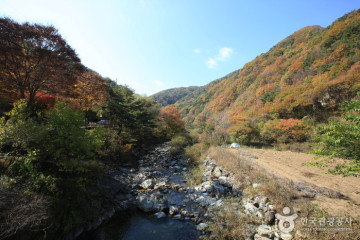 원주 학곡마을 여행 추천 - 메고지고