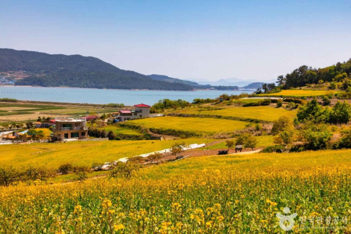 선학동 마을 여행 추천 - 메고지고