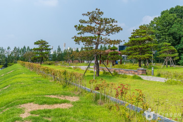 불당동 유적공원 (선사유적지 공원) 여행 추천 - 메고지고