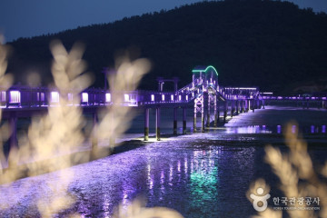 장산도 여행 추천 - 메고지고