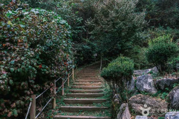 증평 좌구산 명상구름다리 여행 추천 - 메고지고