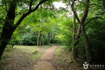 한화리조트 제주 여행 추천 - 메고지고