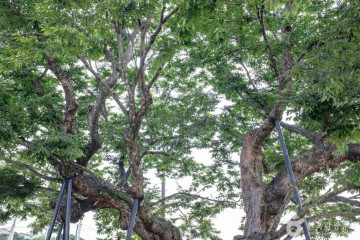 산소카페 청송정원 여행 추천 - 메고지고