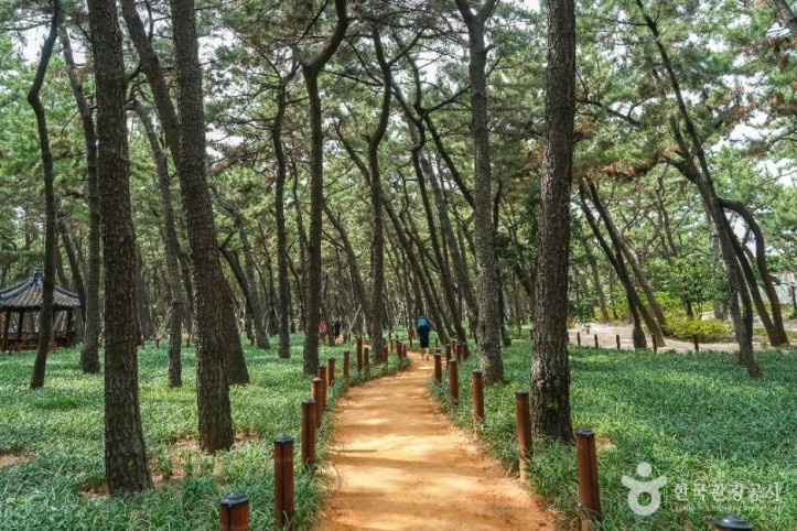송도솔밭도시숲 여행 추천 - 메고지고