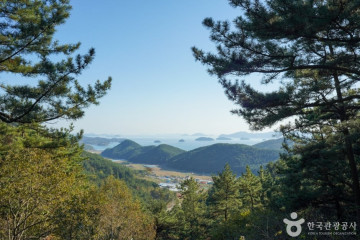 자란도 여행 추천 - 메고지고