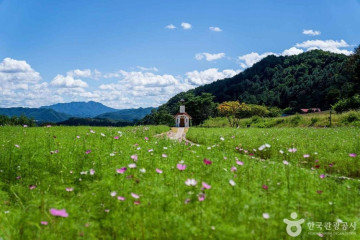 하이트진로 강원공장 여행 추천 - 메고지고