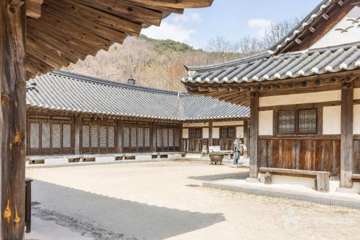 순천전통야생차체험관 여행 추천 - 메고지고