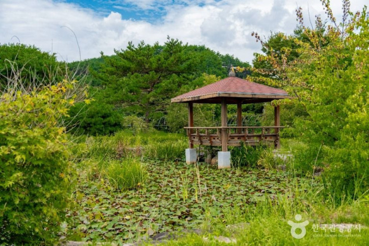 주암호조각공원 여행 추천 - 메고지고