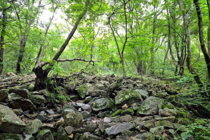 금수산 여행 추천 - 메고지고