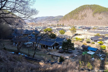 주산지(청송 국가지질공원) 여행 추천 - 메고지고