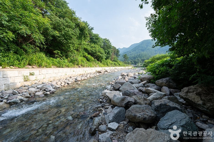 지장계곡 여행 추천 - 메고지고