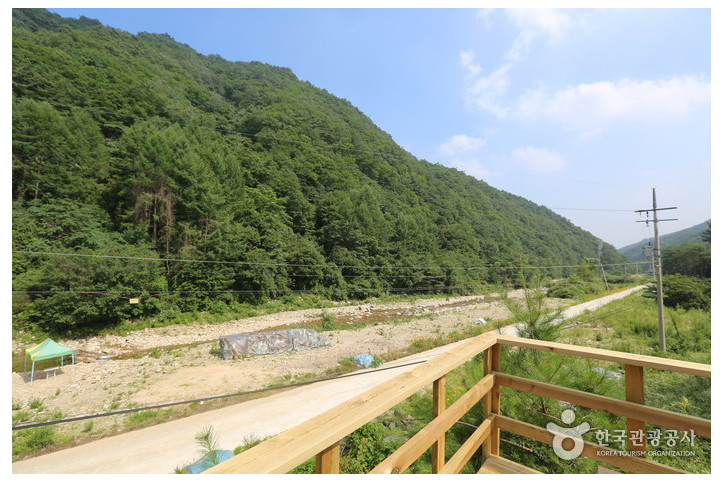구룡산(강원) 여행 추천 - 메고지고