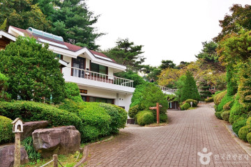 꿀벌랜드 여행 추천 - 메고지고