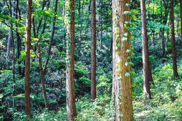 공정여행풍덩 여행 추천 - 메고지고