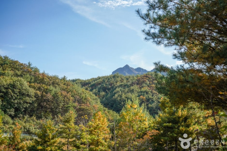 대야산 여행 추천 - 메고지고