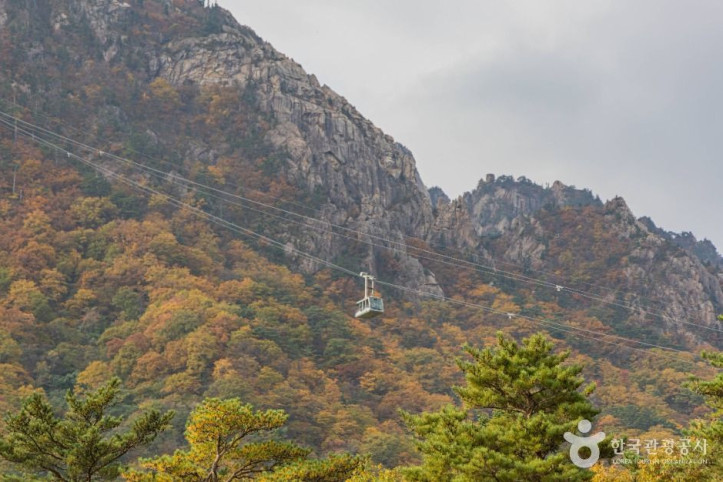 설악산 케이블카 여행 추천 - 메고지고