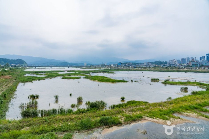 남대천(양양) 여행 추천 - 메고지고