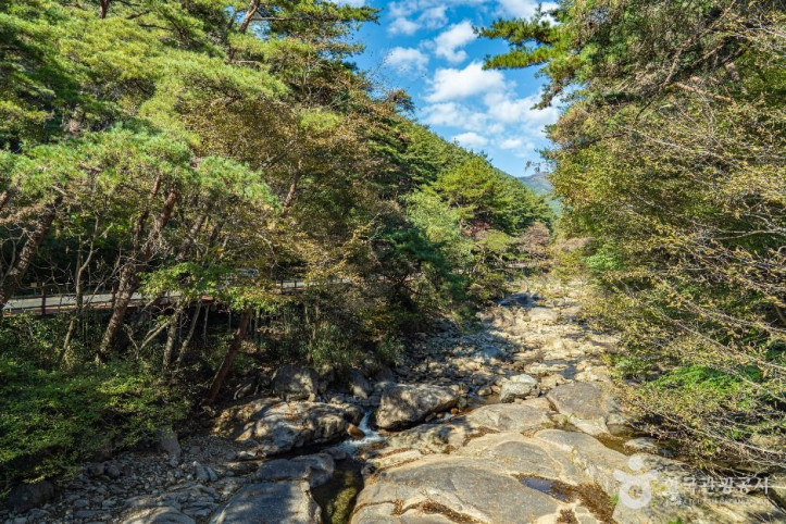 구례장죽전녹차시배지 여행 추천 - 메고지고