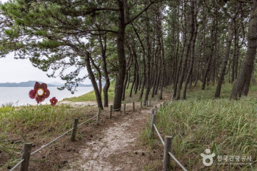 기점·소악도 여행 추천 - 메고지고