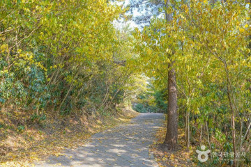 제주특별자치도농업기술원서부농업기술센터 여행 추천 - 메고지고