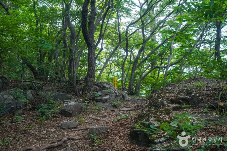 북병산 여행 추천 - 메고지고
