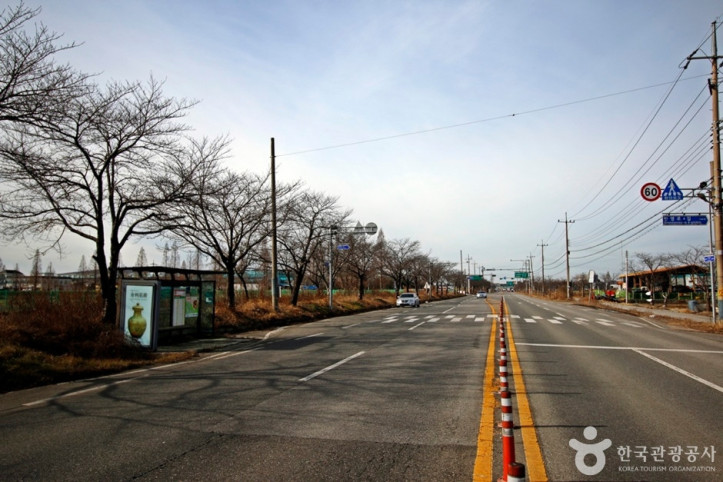 전군가도100리벚꽃길 여행 추천 - 메고지고