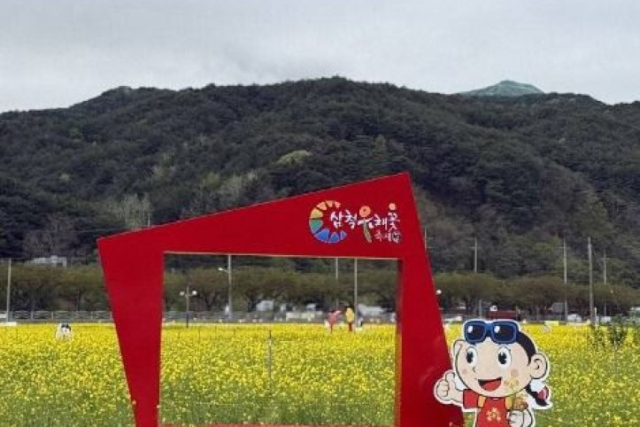삼척 맹방 유채밭 여행 추천 - 메고지고