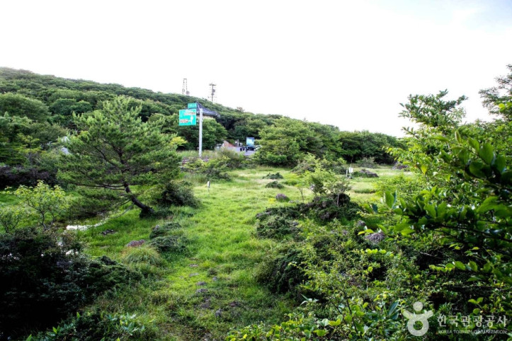 1100고지습지 여행 추천 - 메고지고