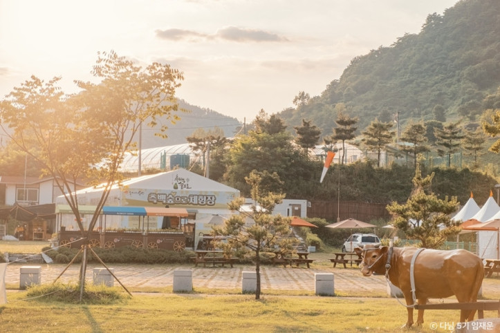 옥순봉생태공원 여행 추천 - 메고지고