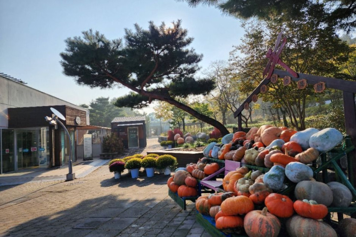 바다향기수목원 여행 추천 - 메고지고