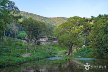 금호못유원지 여행 추천 - 메고지고
