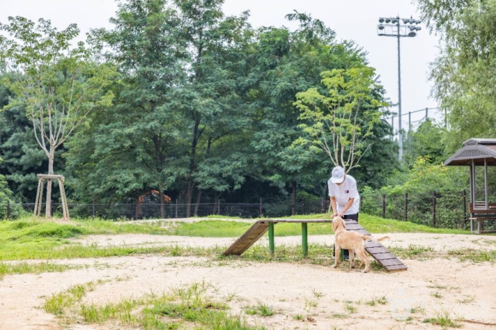 인천대공원 반려동물 놀이터 여행 추천 - 메고지고