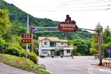 포레스트 리솜 해브나인 스파 여행 추천 - 메고지고