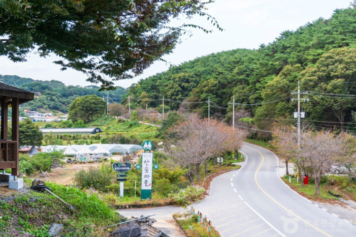 칠갑산산꽃마을 여행 추천 - 메고지고