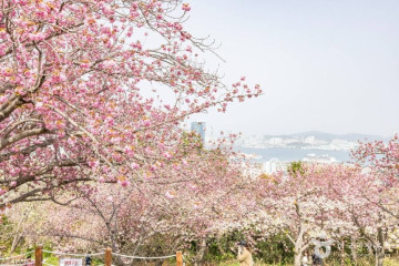 부산 중앙공원 여행 추천 - 메고지고