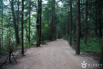 신약수(가리골약수) 여행 추천 - 메고지고