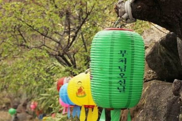 성흥사 여행 추천 - 메고지고