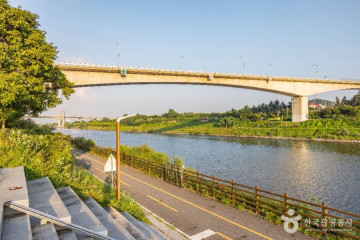 고씨딸기체험농원 여행 추천 - 메고지고