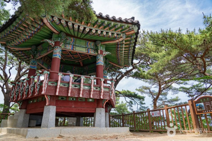 하조대 여행 추천 - 메고지고