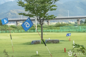 원주 반계리 은행나무 여행 추천 - 메고지고
