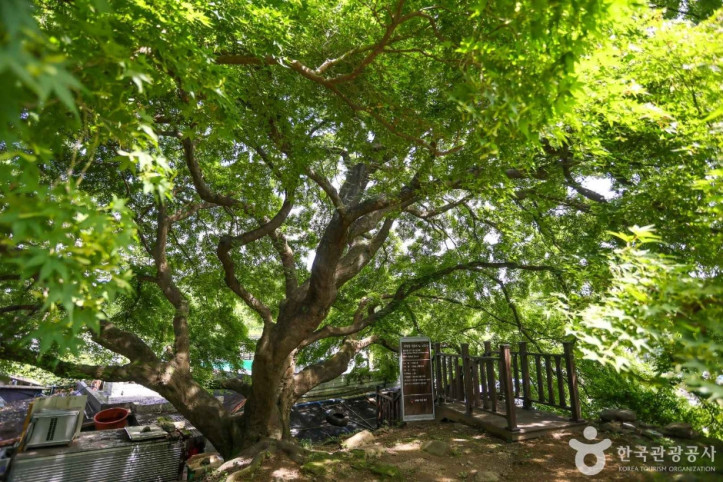 세천유원지 여행 추천 - 메고지고