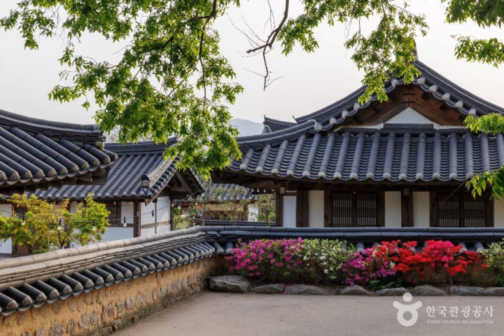 경주 교촌마을 여행 추천 - 메고지고