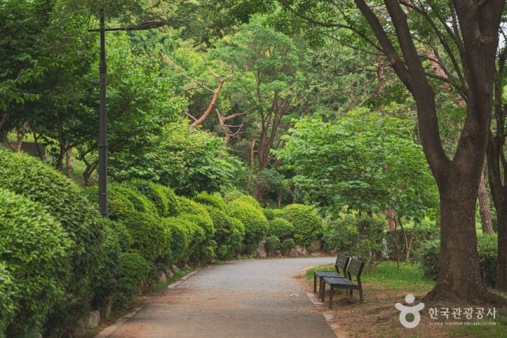 남산 야외식물원 여행 추천 - 메고지고