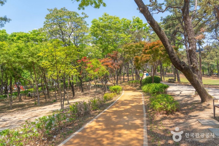 매탄공원 여행 추천 - 메고지고