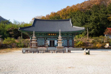 정남진 골프리조트 여행 추천 - 메고지고