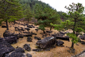 세계 거석테마파크 여행 추천 - 메고지고