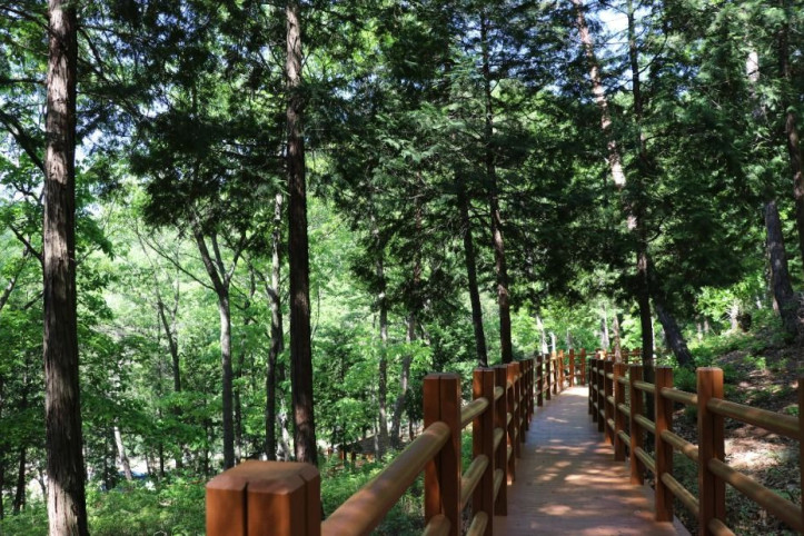 국립대운산치유의숲 여행 추천 - 메고지고