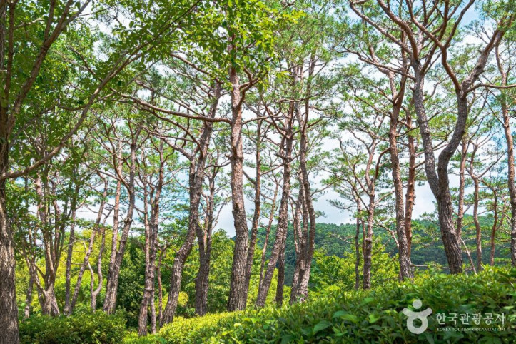 광주호 호수생태원 여행 추천 - 메고지고