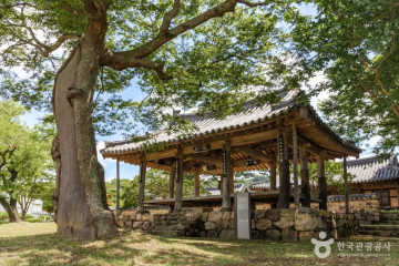 나주 반남 고분군 여행 추천 - 메고지고