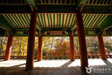 골목대장 여행 추천 - 메고지고